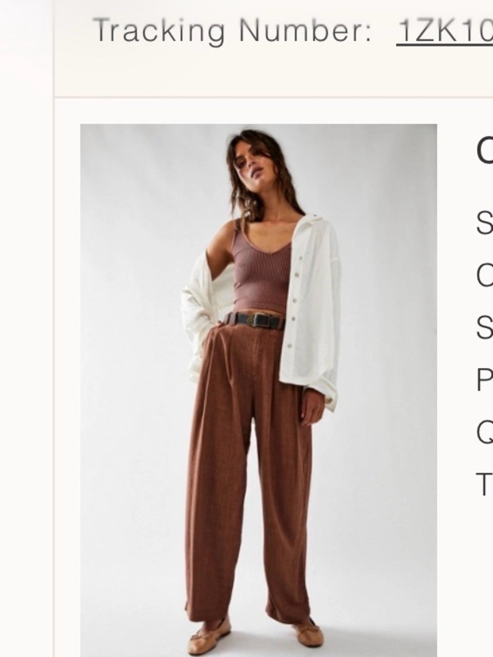 Calla Pleated Trousers in Brown